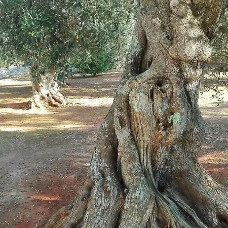 Villa Naspre *