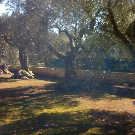 Naspre * Corsano (Apulia)